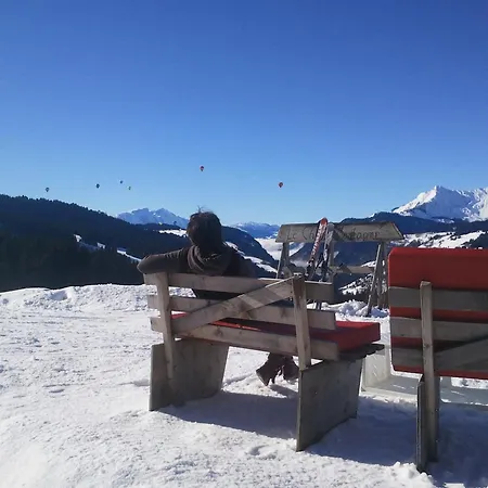 Le Chasse Montagne מלון