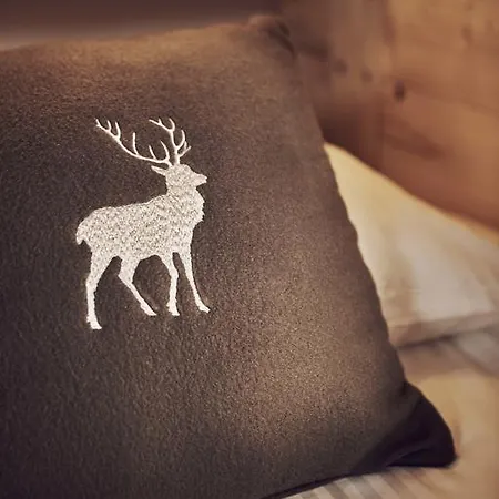 Hotel Le Chasse Montagne 3*